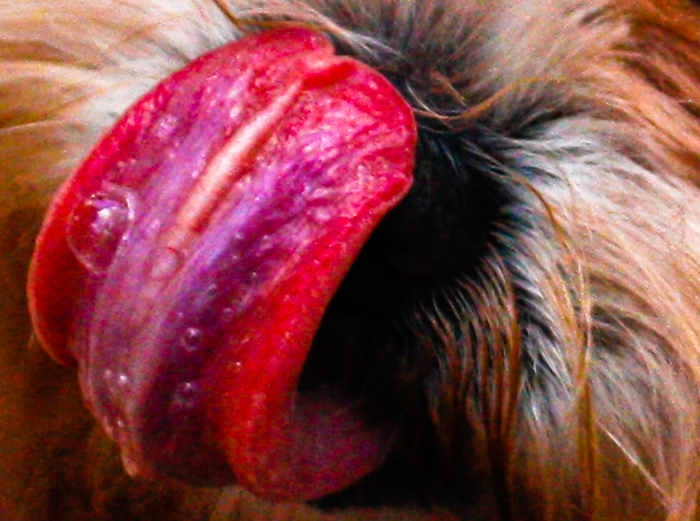 La lengua inclusiva, foto de León de la Hoz