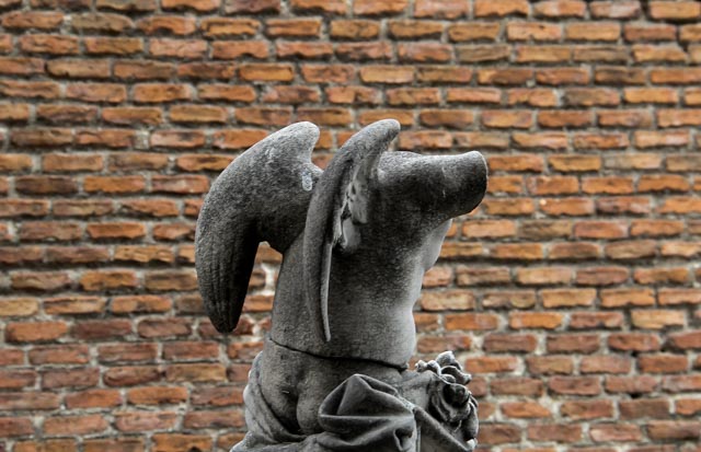 Podemos. Fotografía de León de la Hoz