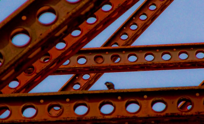 Foto de Leon de la Hoz